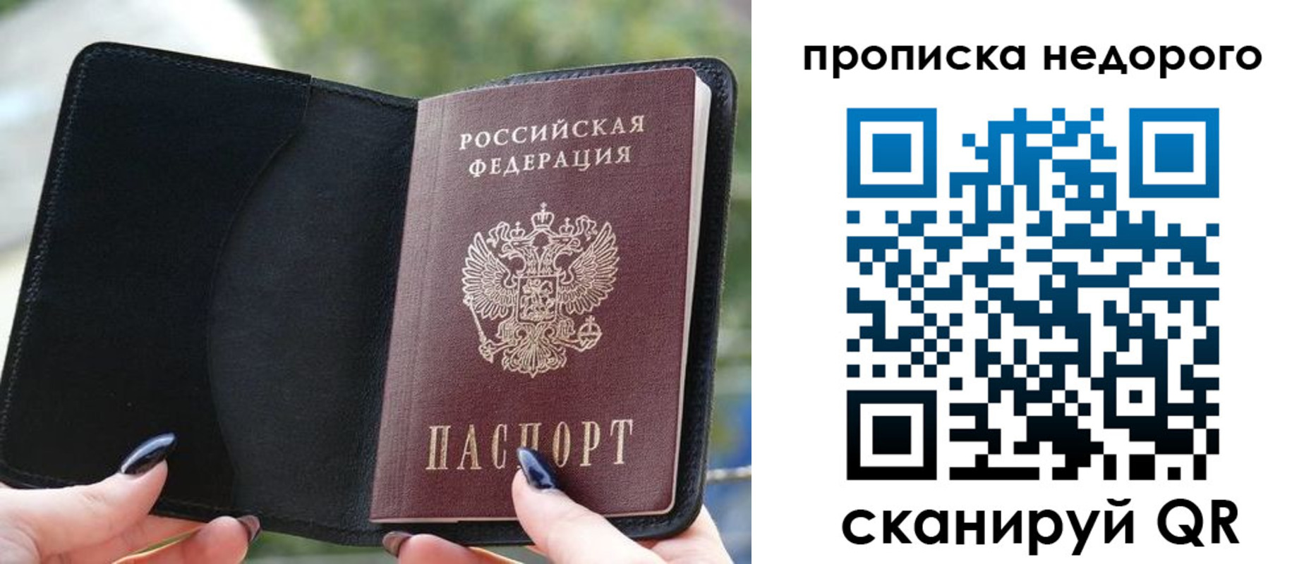 временная регистрация поиск в Электрогорске